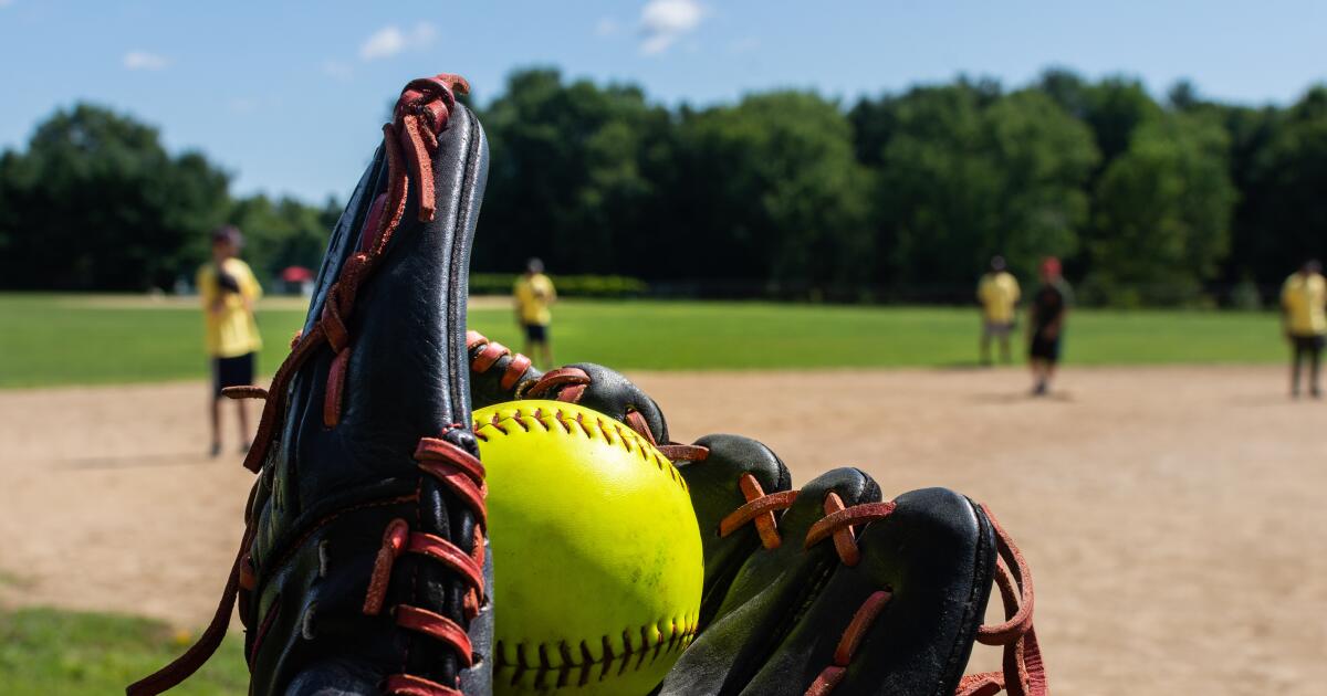 Wednesday's high school softball results