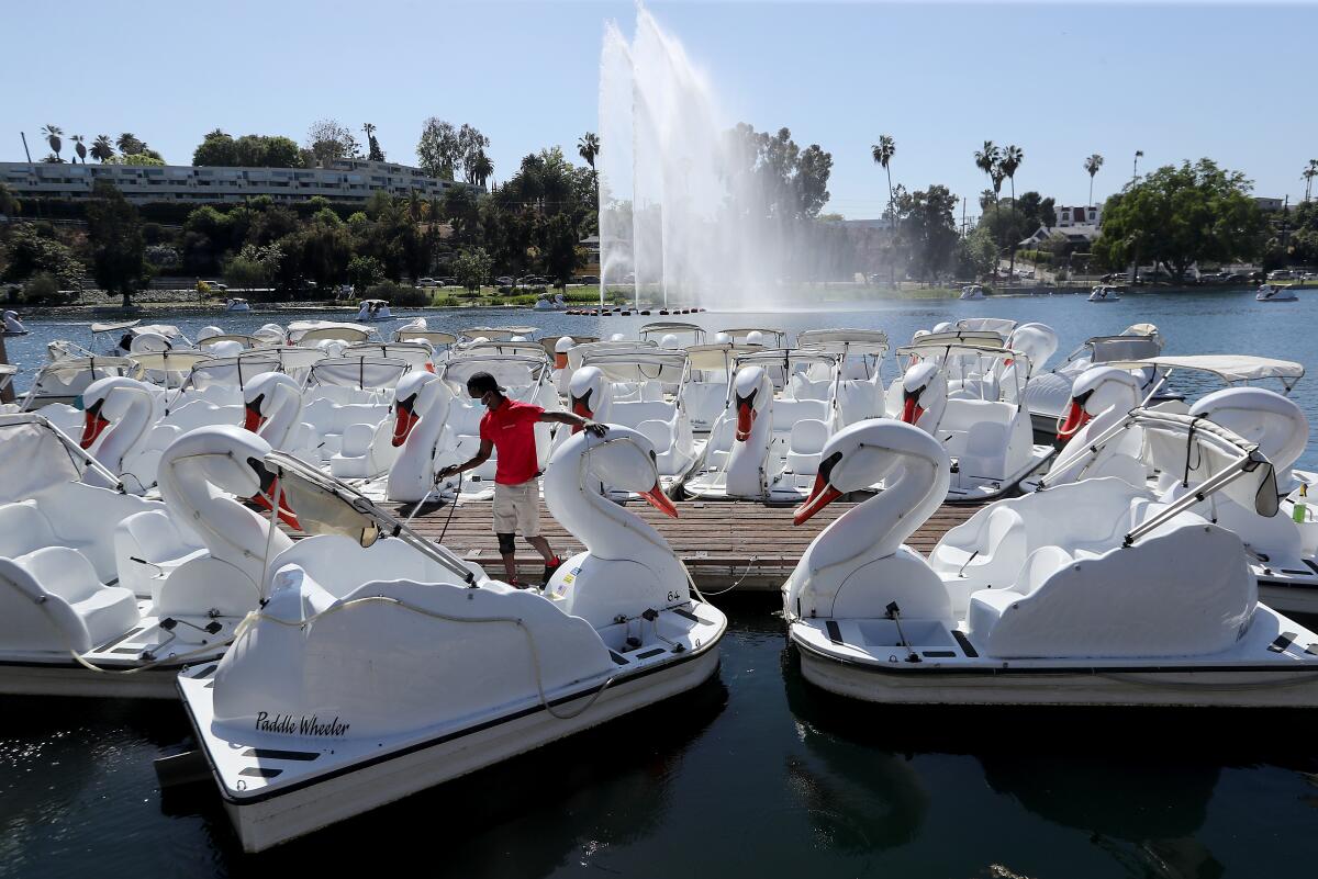A worker hoses off swan boats on a lake