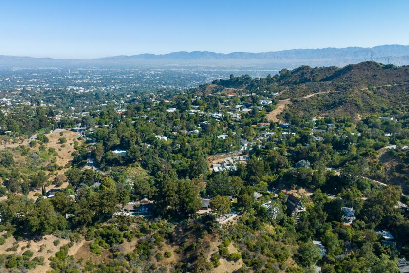 Los Angeles, CA - July 11: New construction of homes is ongoing in the Hollywood Hills, where a critical wildlife corridor connecting Laurel Canyon on right, and Nichols Canyon, left, part of the larger 405 to Griffith Park habitat is threatened on Tuesday, July 11, 2023 in Los Angeles, CA. (Brian van der Brug / Los Angeles Times)