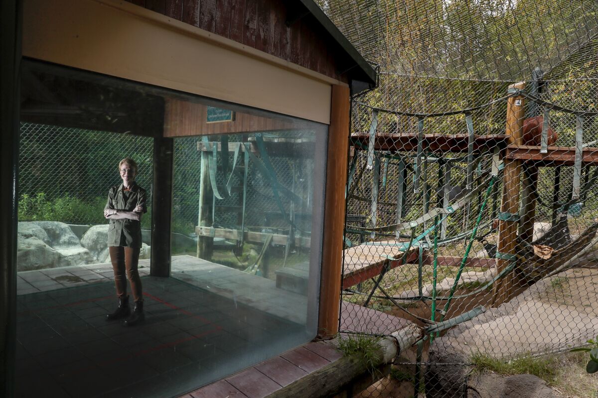 A woman poses for a photo next to a zoo enclosure.