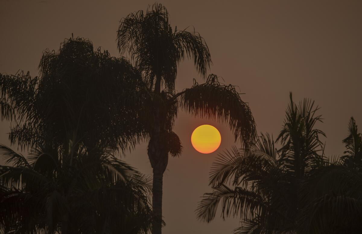 The sun is filtered through smoky air from California's record wildfires.