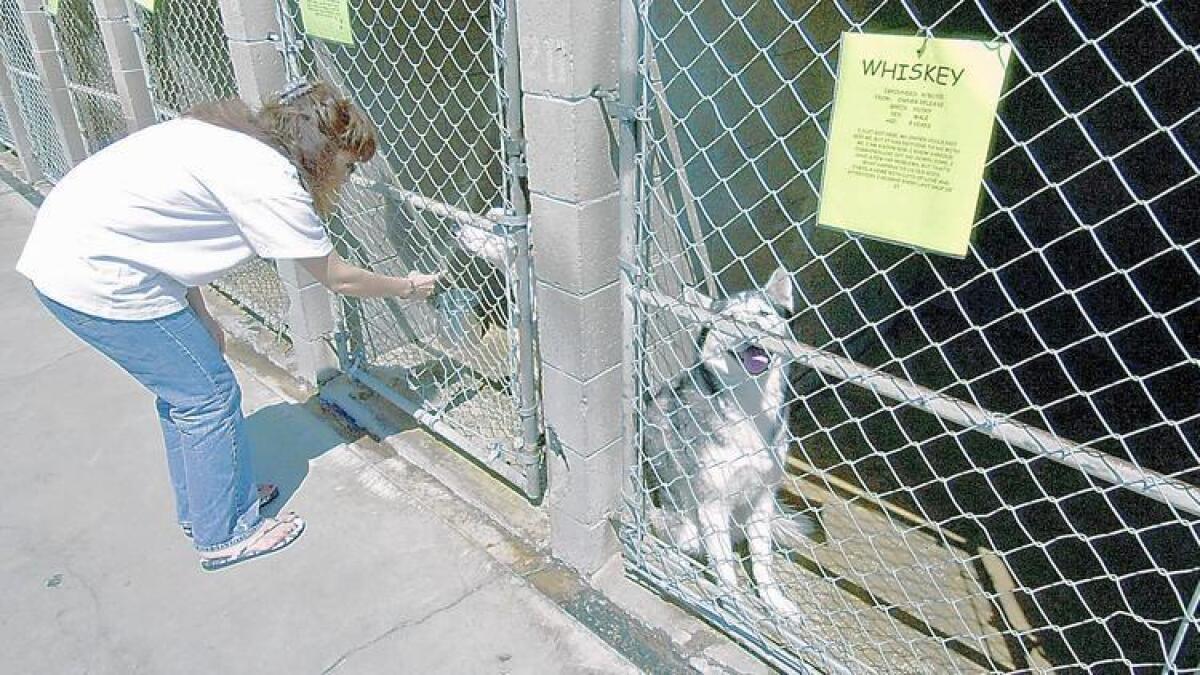 Despite Objections New O C Humane Society Animal Shelter Gets Ok