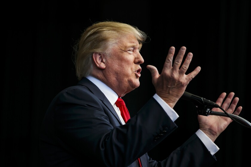 Then-candidate Donald Trump speaks at a campaign rally.