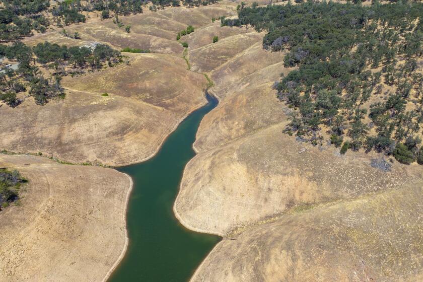 Oroville, CA - June 02: Aerial photos of the West Branch Feather River near Lime Saddle Marina show a shrinking shoreline on Lake Oroville which stands at 54% of capacity in the midst of record drought on Thursday, June 2, 2022 in Oroville, CA. (Brian van der Brug / Los Angeles Times)