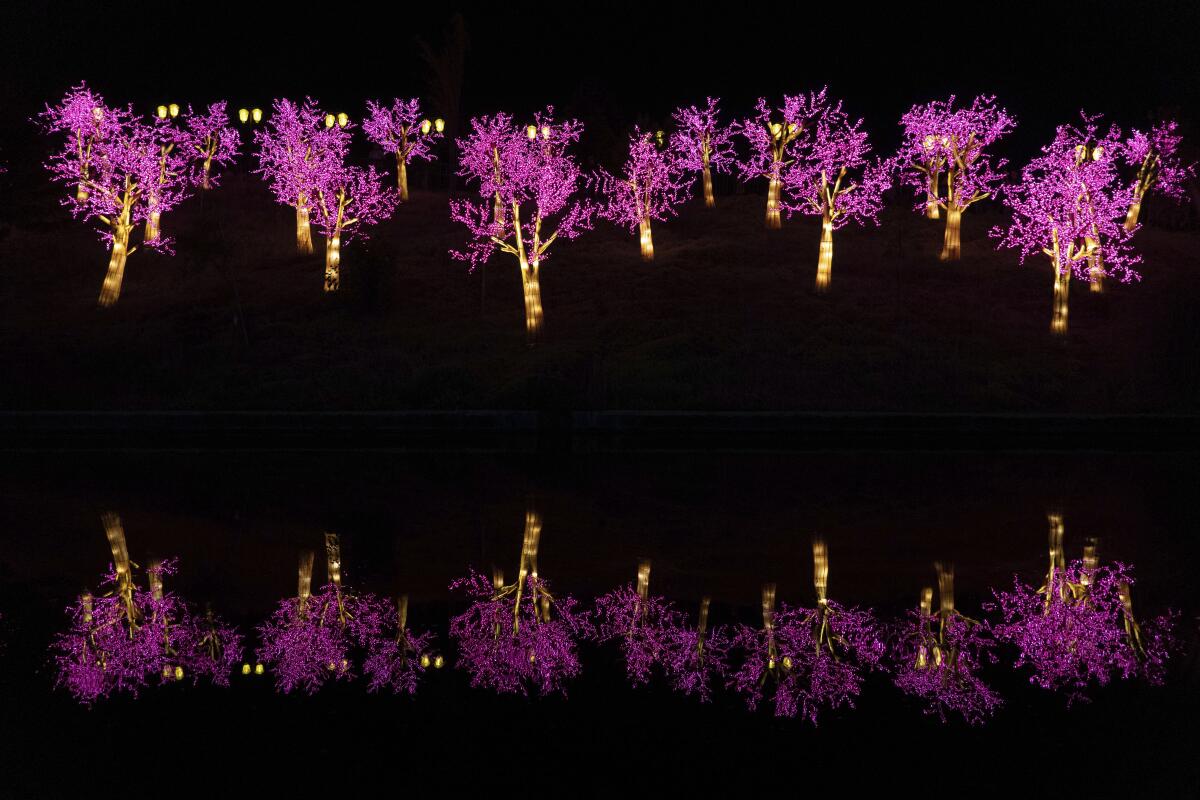 En esta imagen de archivo, una instalación de luces, vista durante el festival de Linternas Chinas en Santiago