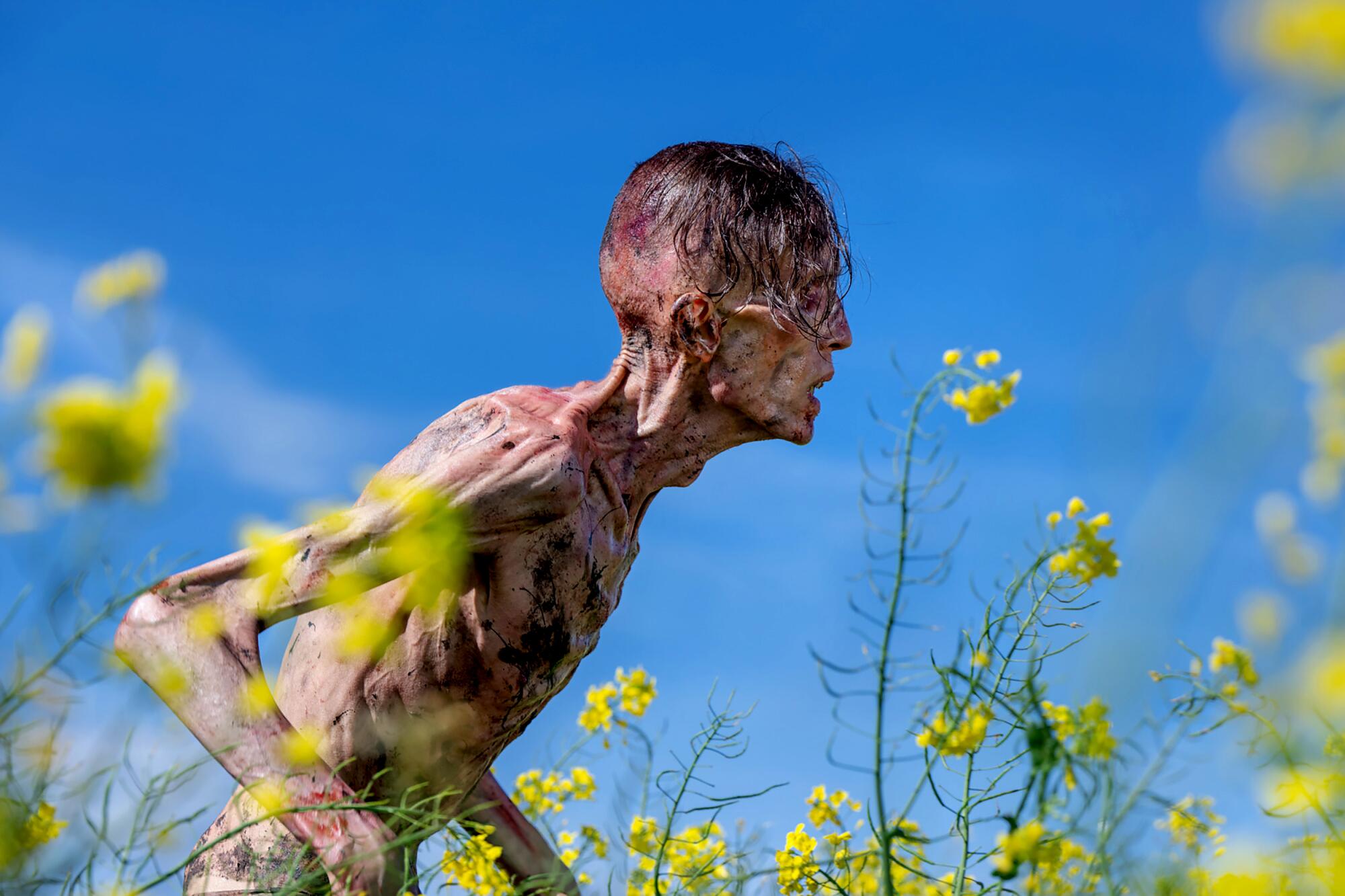 A zombie makes its way through a field in front of a bright blue sky.