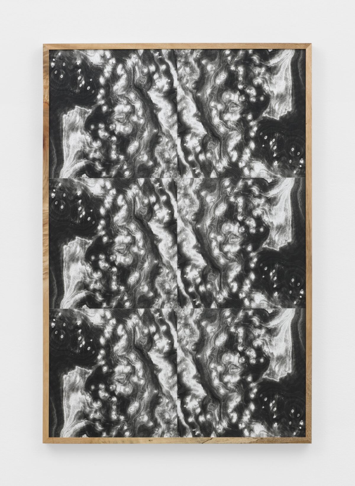 Lisa Oppenheim, "Landscape Portraits (Camphor) (Version III)," 2020. Black and white silver gelatin photographs in Camphor frame, 32-1/2 inches by 21-7/8 inches by 1-3/8 inches