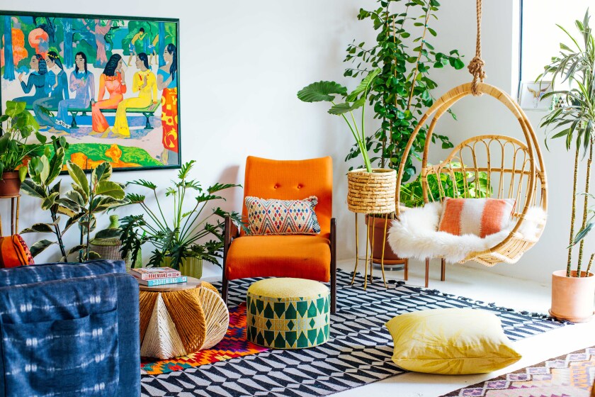 Photo of a vibrant living space brimming with green decorative foliage