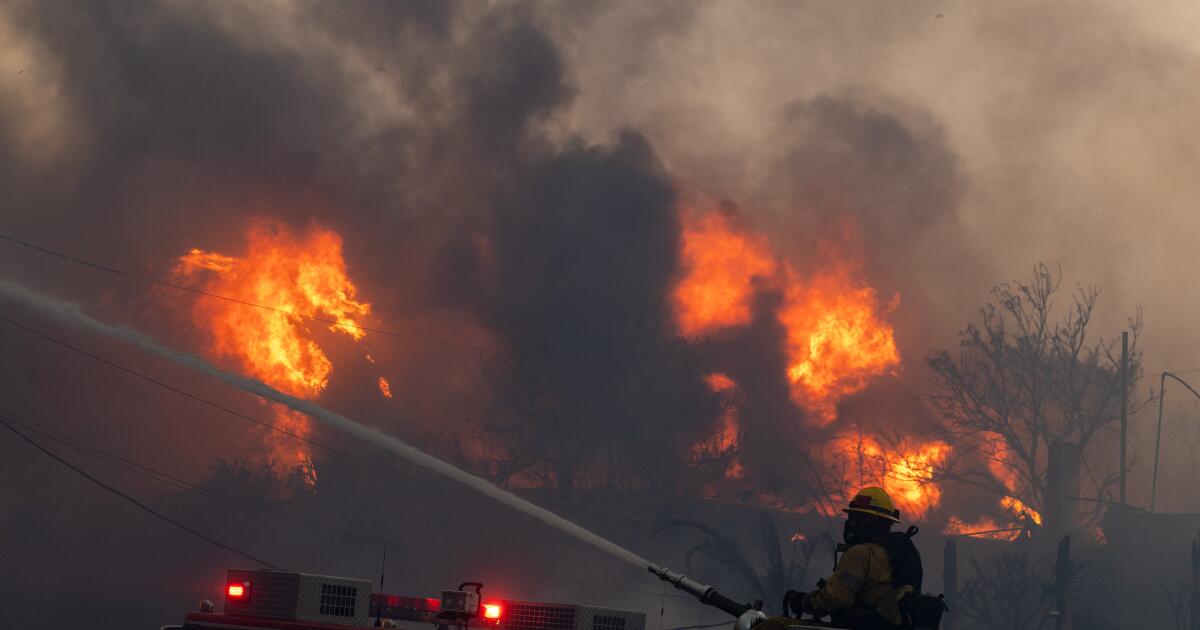 Exterminate wild requests, LAFD requests 15% Budget increase Exterminate wild requests, LAFD requests 15% Budget increase