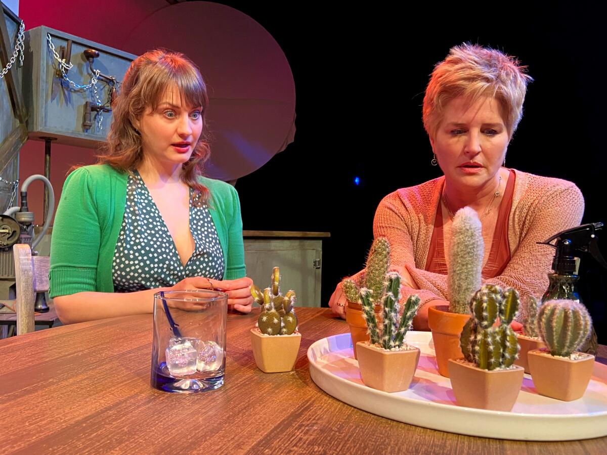 Two women seated at a table with a centerpiece of small potted cactuses