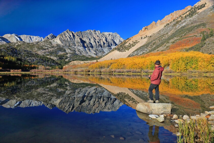 Brilliant fall colors are abundant and reflected on a mirror-smooth North Lake during an early morning visit in mid-October in the Mammoth Mountain region.
