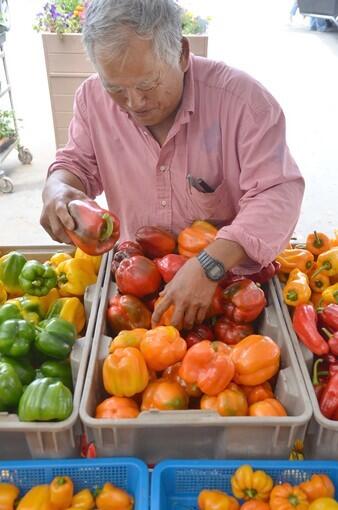 Chino Farms, Rancho Santa Fe