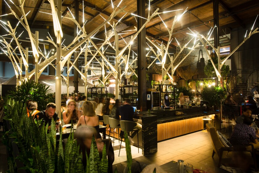The Understory bar at Sky Deck.