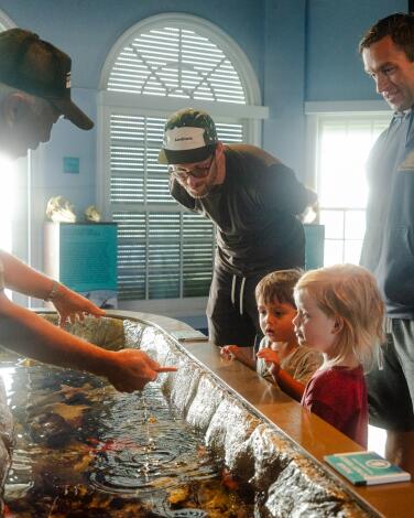 An adult and two young kids admire a sea star in an aquarium tank