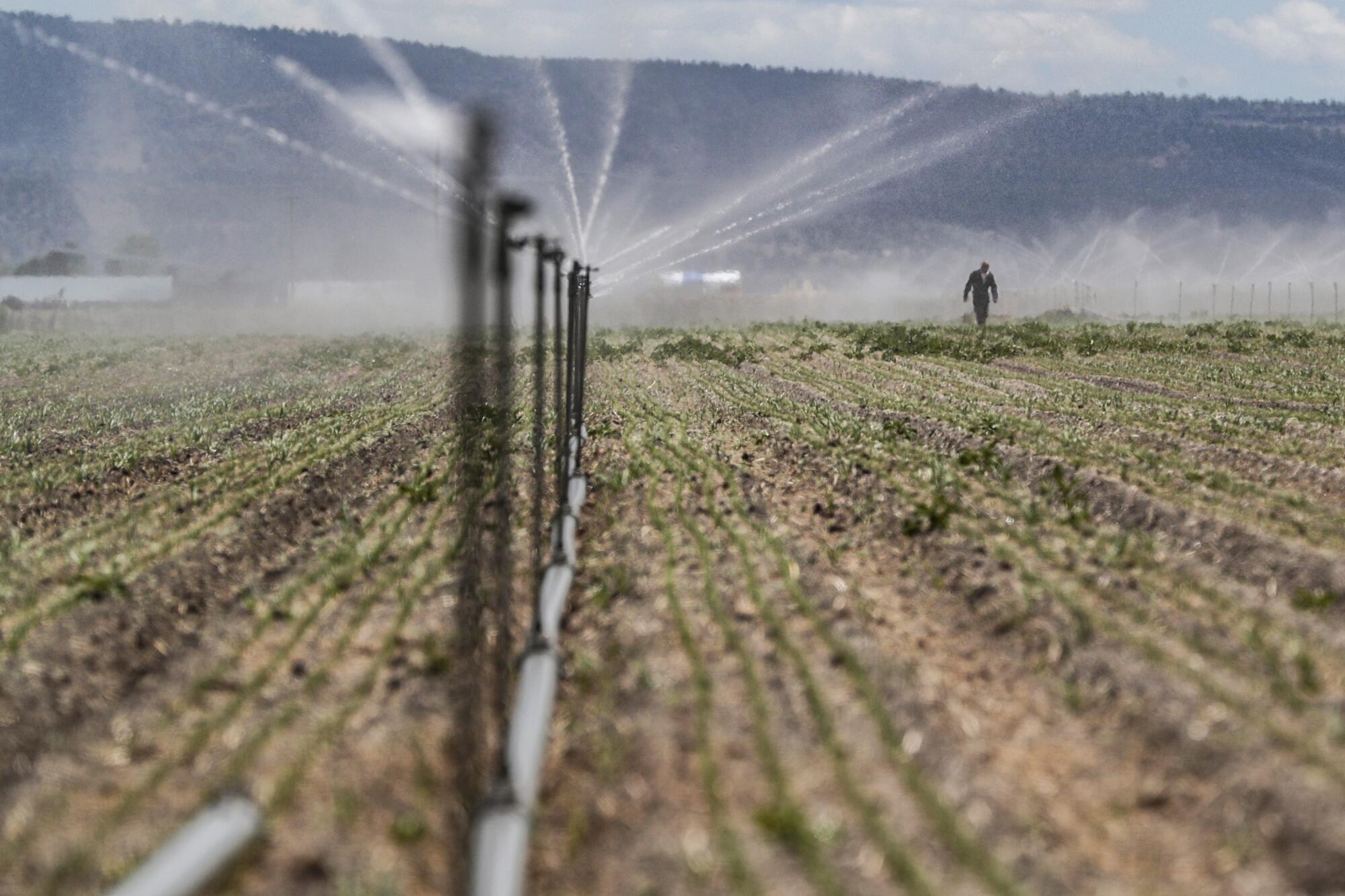 In Oregon, the tensions of a devastating drought ignite racism toward Native Americans. 