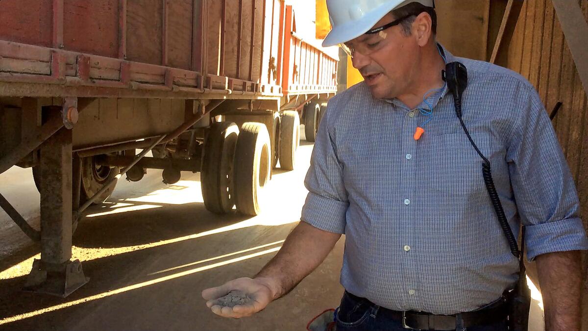 Rick Spurlock holds some of the ash residue that is repurposed as ground cover for dairy cattle facilities.