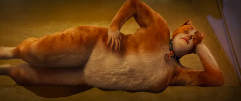 Image result for cats rebel wilson