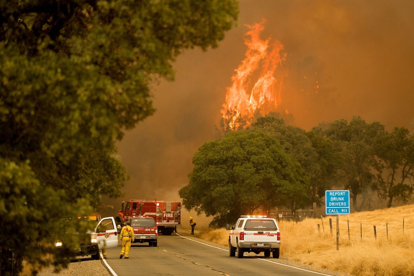Flames from the Detwiller fire rise over Highway 49 in Bear Valley on July 17.