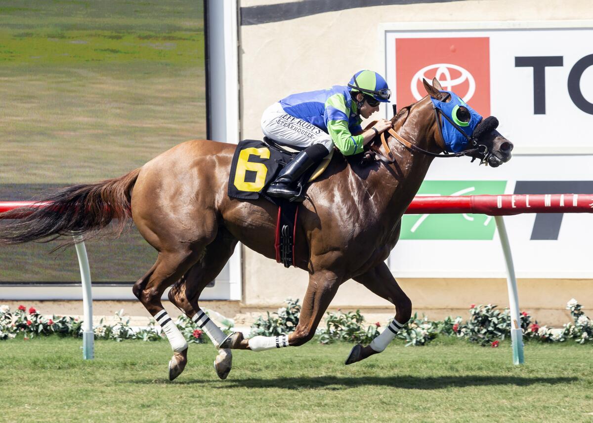 Mr Vargas (6), with Joseph Talamo aboard, wins the Grade III, $100,000 Green Flash Handicap horse race on Saturday at Del Mar Thoroughbred Club.