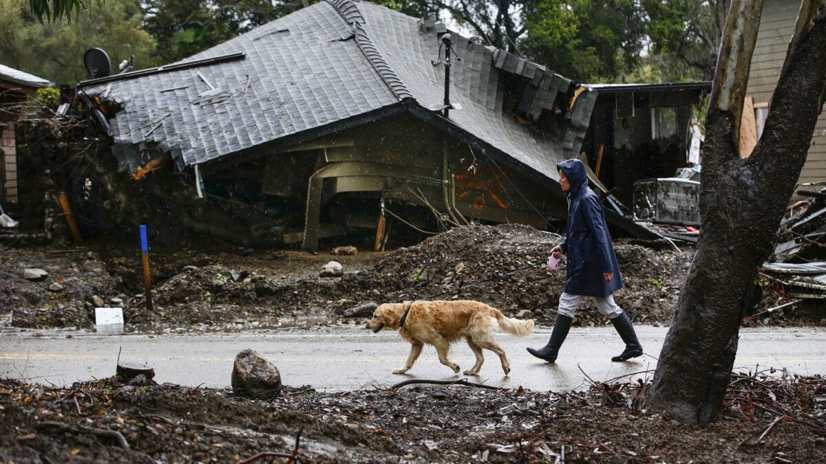 Loreen Zakem walks her dog past one of the homes destroyed in a January debris flow along Montecito Creek.