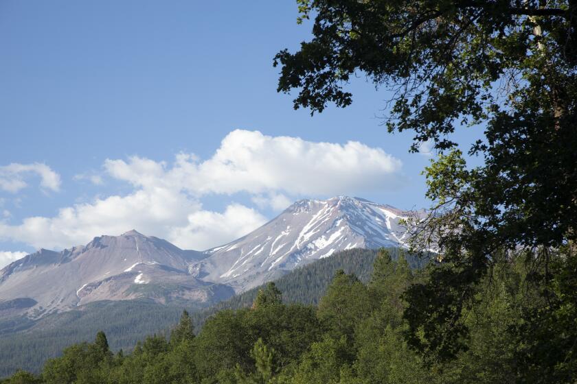 MT. SHASTA, CA - July 13: Mt. Shasta, right, and its geologic sibling Shastina, left. On June 6, five people fell on Mt. Shasta's icy surface resulting in the death of a professional mountain guide. On average, there are 10 rescues and one fatality each year. Photographed on Thursday, July 14, 2022 in Mt. Shasta, Siskiyou County CA. (Myung J. Chun / Los Angeles Times)