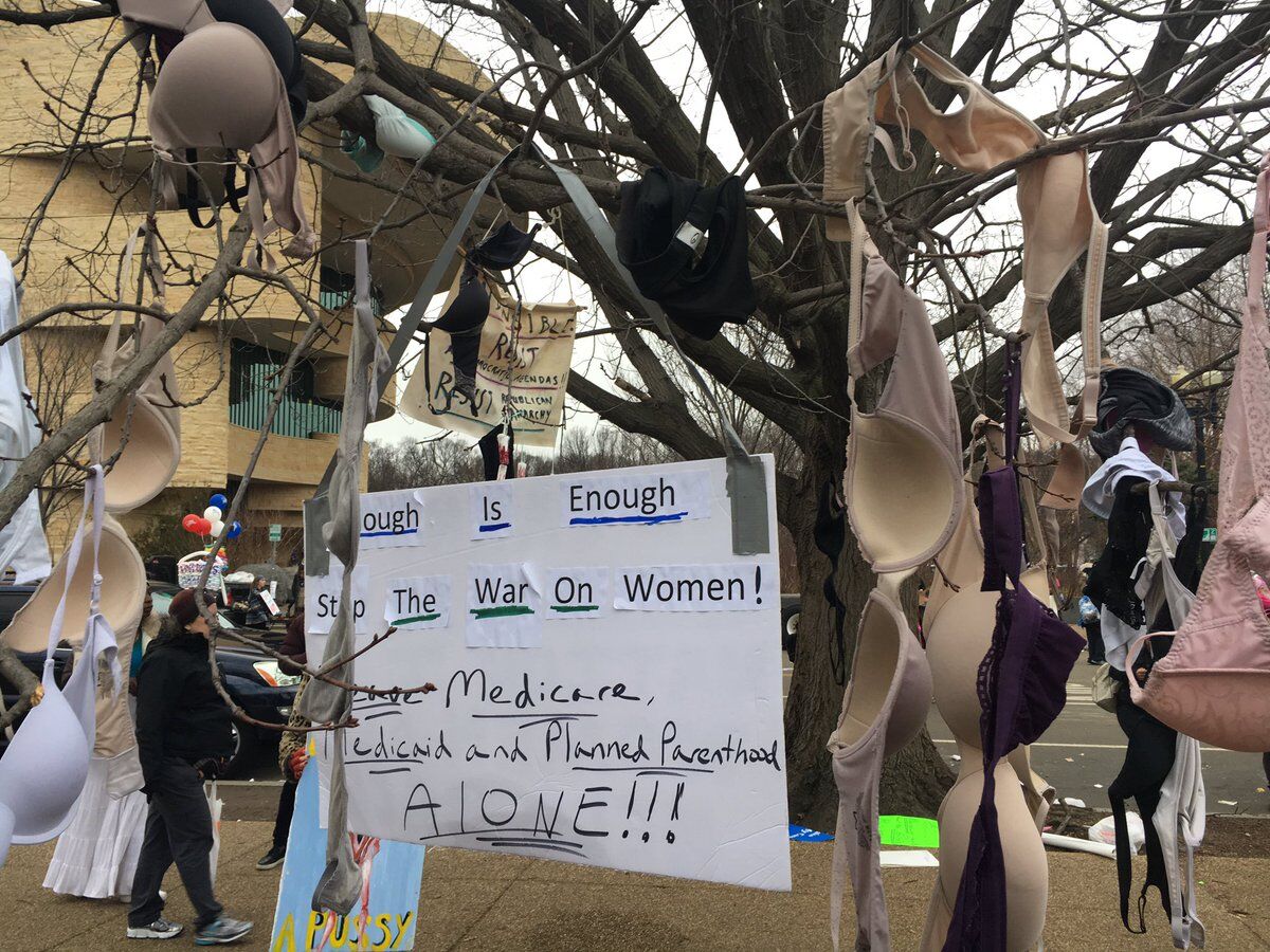 Outside the Women's March on Washington, a tree is draped with bras and protest signs.