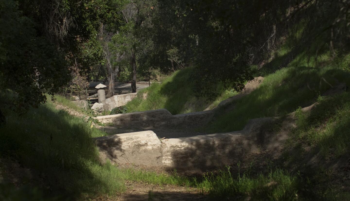 L.A. Walks: Griffith Park