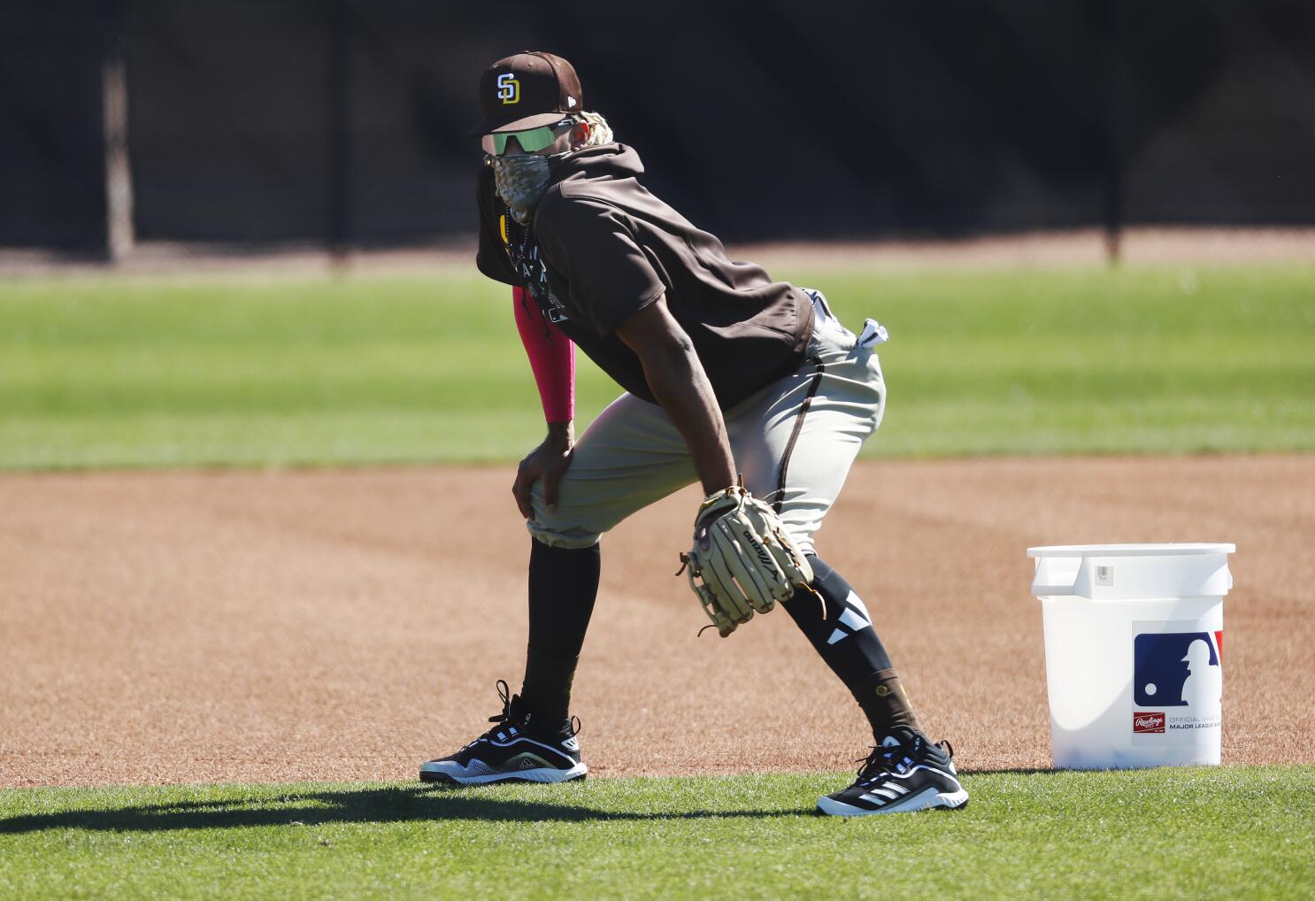 Cluster of Cactus League Training Camps Has a Cozy Feel - The New