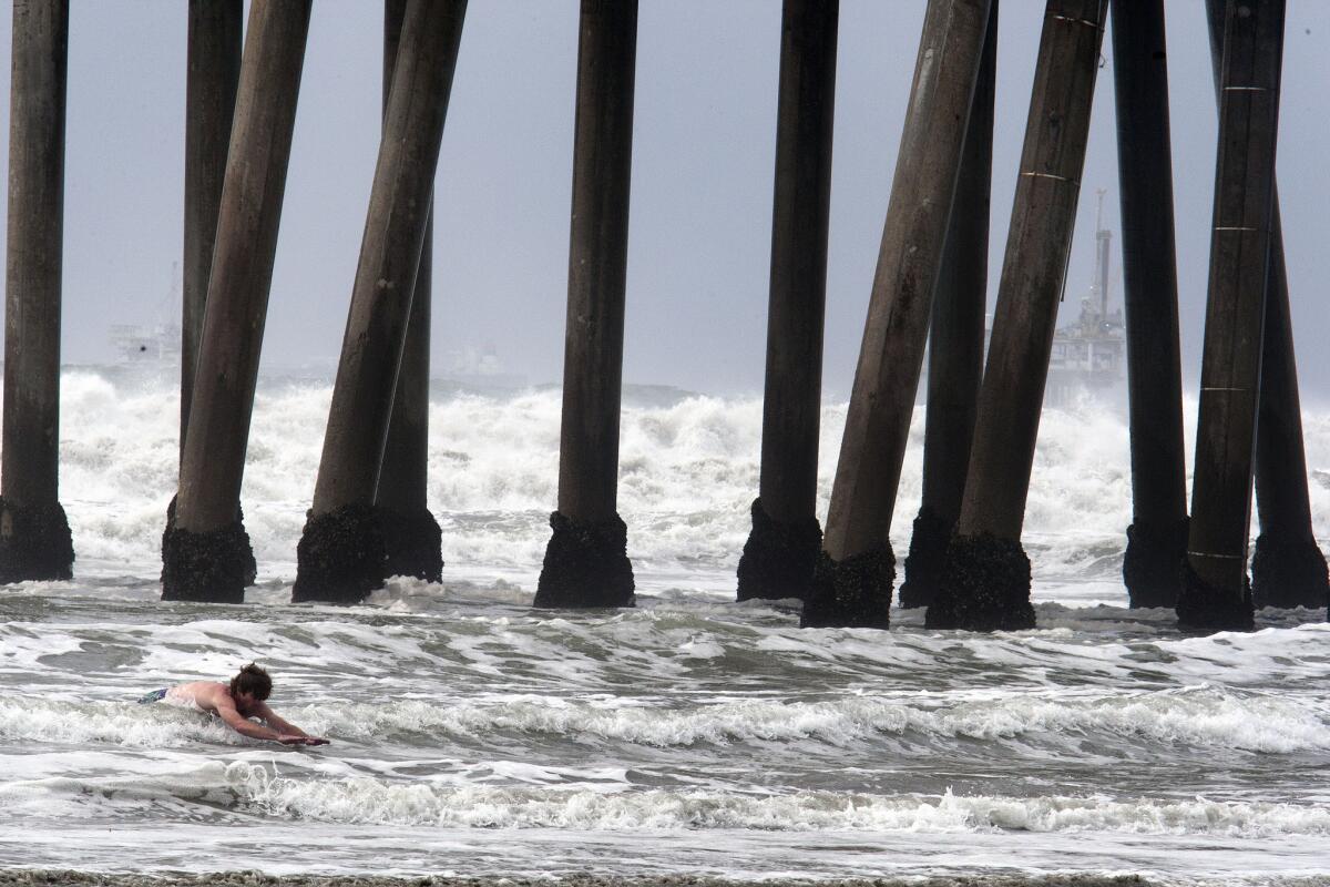 A man swims in the surf Saturday at Huntington Beach. A new study suggests a three-day waiting period after rainfall is not long enough to protect ocean swimmers and surfers from pathogens swept into the water.