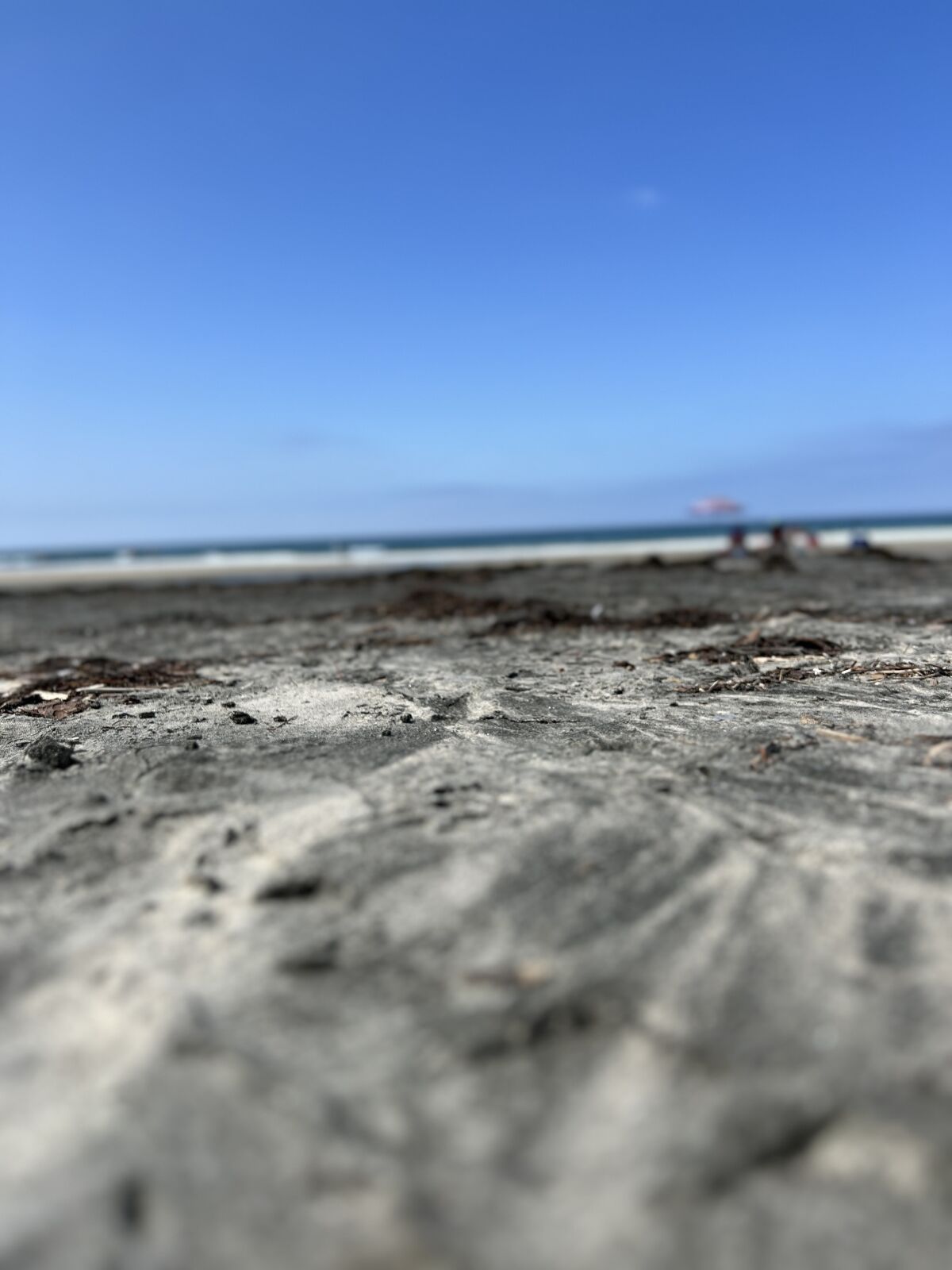 Combating erosion might involve dumping more sand on the beaches or building jetties.