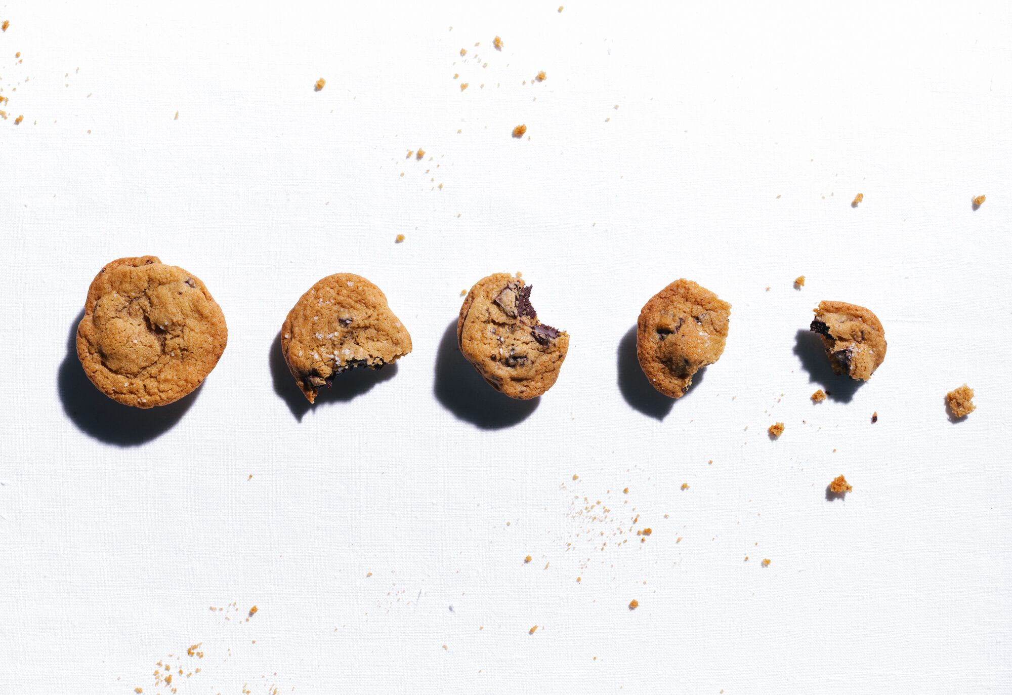 A line of chocolate chip cookies, diminishing in size.