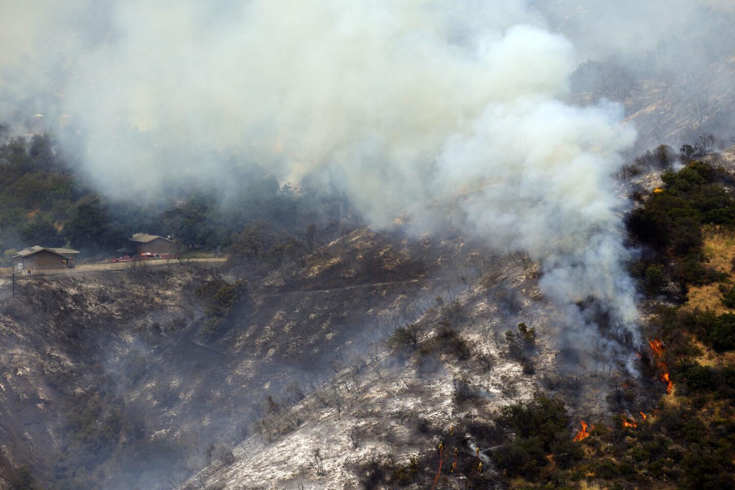Firefighters battle a brush fire from the ground in Mandeville Canyon in the Brentwood neighborhood of Los Angeles.