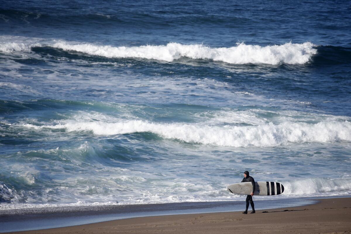 A surfer walks on Point Reyes Beach after a morning riding the waves in Point Reyes National Seashore.