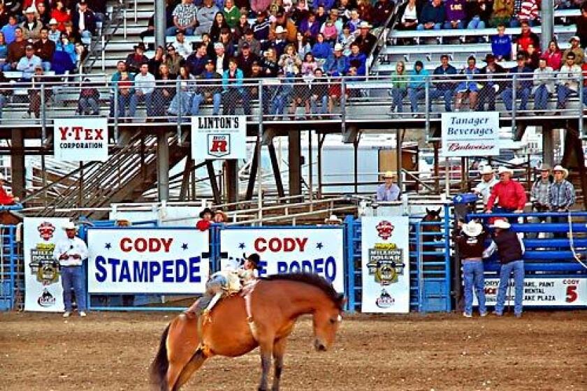 Rodeos are staged nightly during the summer in Cody, Wyo., a cowboy-and-tourist town about 50 miles east of Yellowstone National Park.