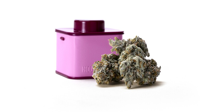 A square pink tin next to a cannabis flower.