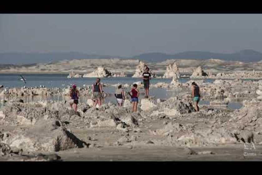Mono Lake | An ecological hot spot because of the drought