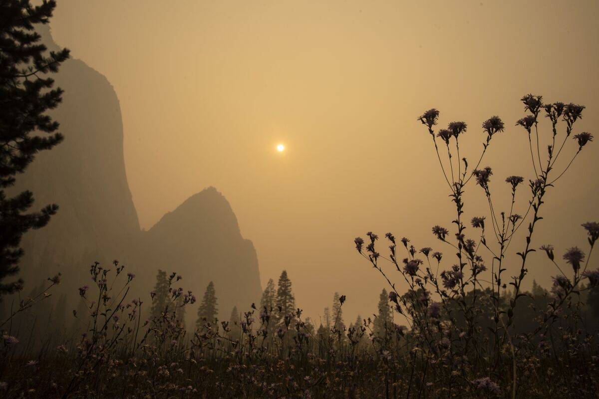 Mountains and plants silhouetted against a smoky sky