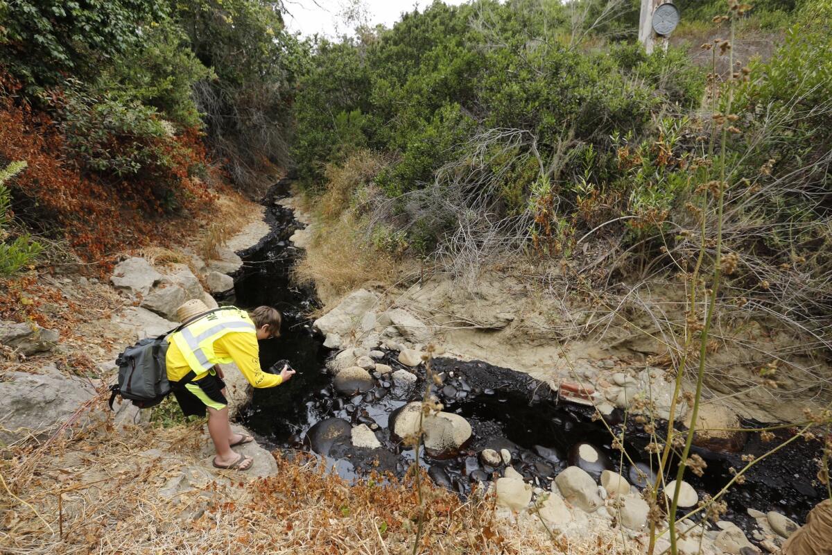 Gabriel Anderson, 13, photographs a section of the oil spill in Ventura. He was with his father, Sean Anderson, a professor at Cal State Channel Islands, who was collecting samples to test for toxicity.