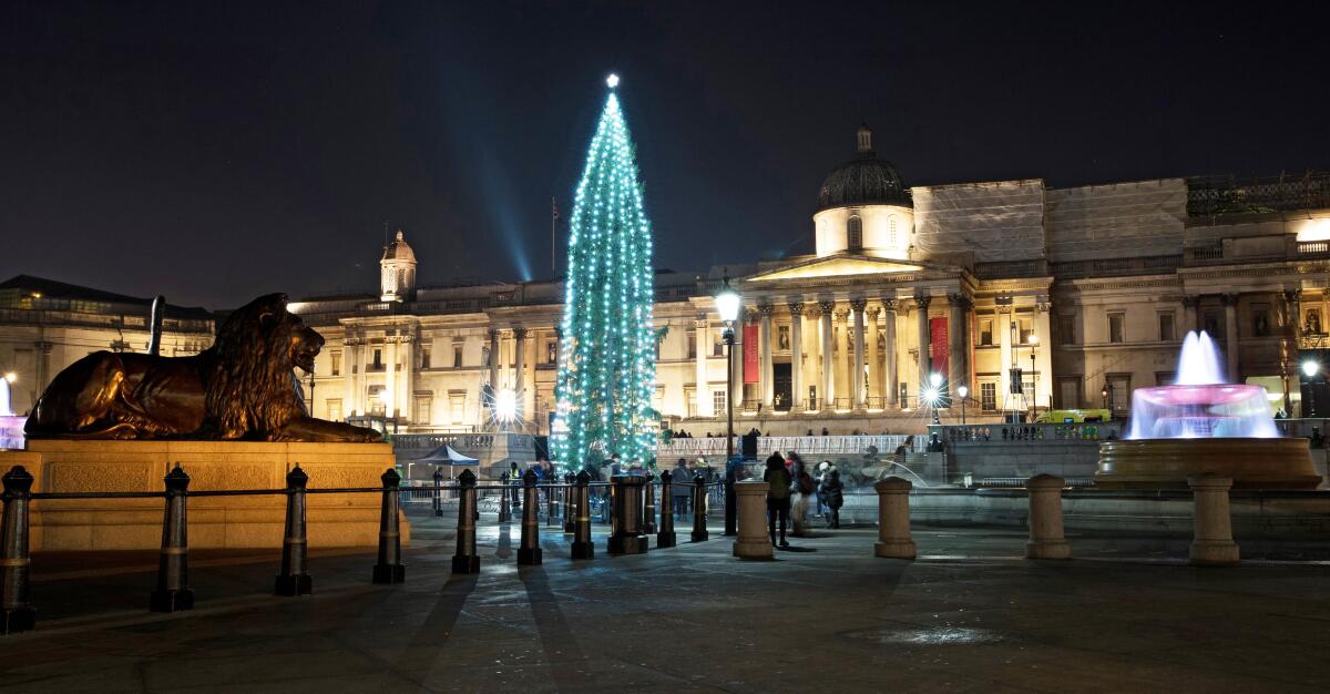 Árbol de Navidad en la PLaza Trafalgar, Londres