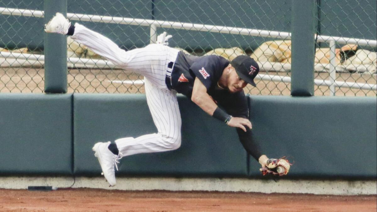 Texas Tech left fielder Grant Little tumbles after making a catch at the wall on a fly ball hit by Florida's Deacon Liput during the third inning of an NCAA College World Series baseball elimination game in Omaha, Neb., Thursday, June 21, 2018.