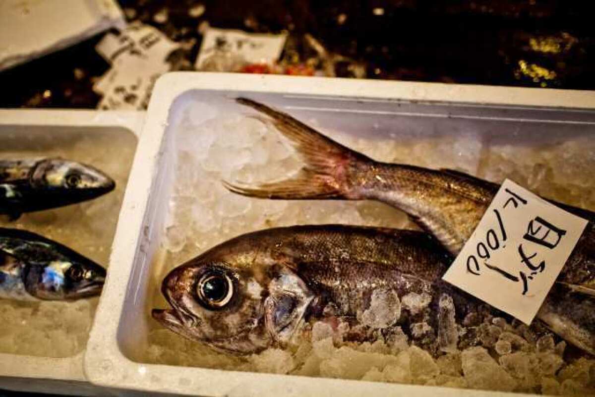 Fish for sale packed in ice at a market in Tokyo. U.S. regulators say they often encounter cases of fraudulent overweighting of seafood to boost prices.
