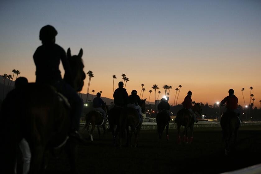 FILE - In this Oct. 28, 2014, file photo, exercise riders and horses walk along the track during morning workouts for the Breeders' Cup races at Santa Anita Park in Arcadia, Calif. A person with direct knowledge of the situation says a 21st horse has died at Santa Anita. The person spoke to The Associated Press on the condition of anonymity Tuesday, March 5, 2019, because the fatality has not been announced publicly. A total of 21 horses have died since the racetrack's winter meet began on Dec. 26. (AP Photo/Jae C. Hong, File)