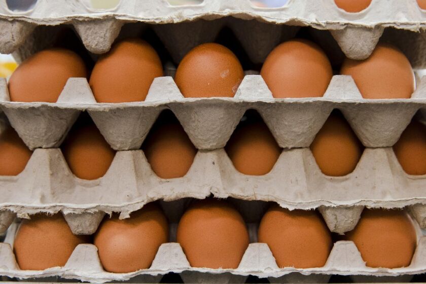 The poultry industry often injects eggs with antibiotics while vaccinating them because small holes in the shell can expose the eggs to pathogens.