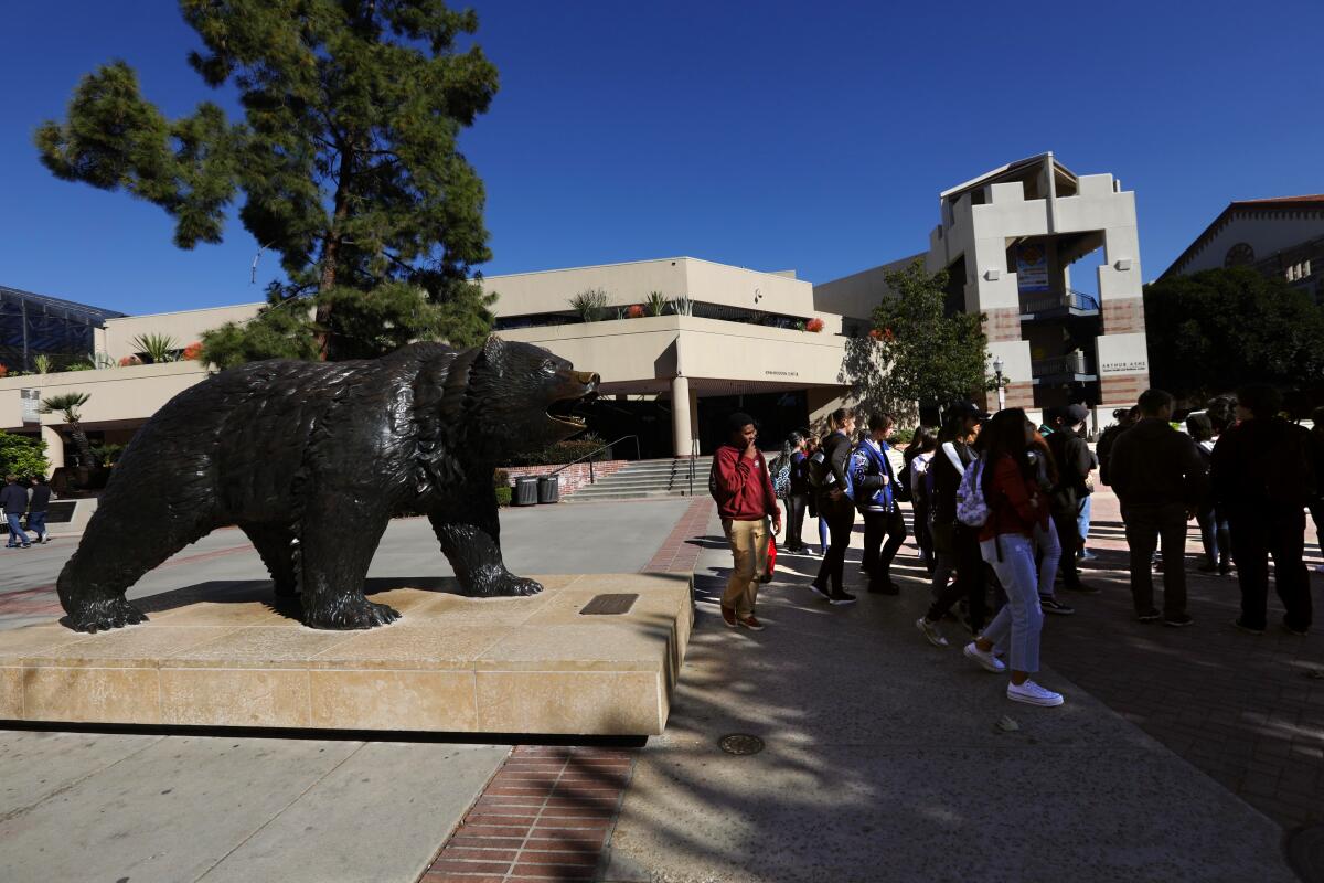 "The Bruin Bear"  on the campus of UCLA in Westwood.