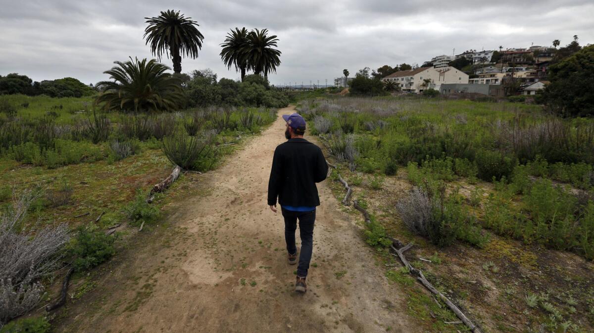 Botanist Patrick Tyrrell walks through the Ballona wetlands