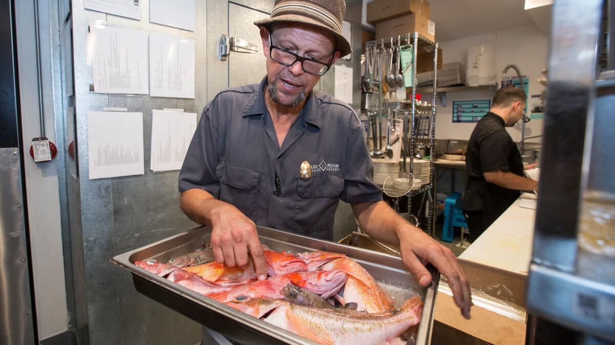 Chef Joel Harrington shares some of the daily fish selections he hand-picked from the Dory Fishing Fleet Market, where he stops every morning on his way to Lido Bottle Works in Newport Beach.