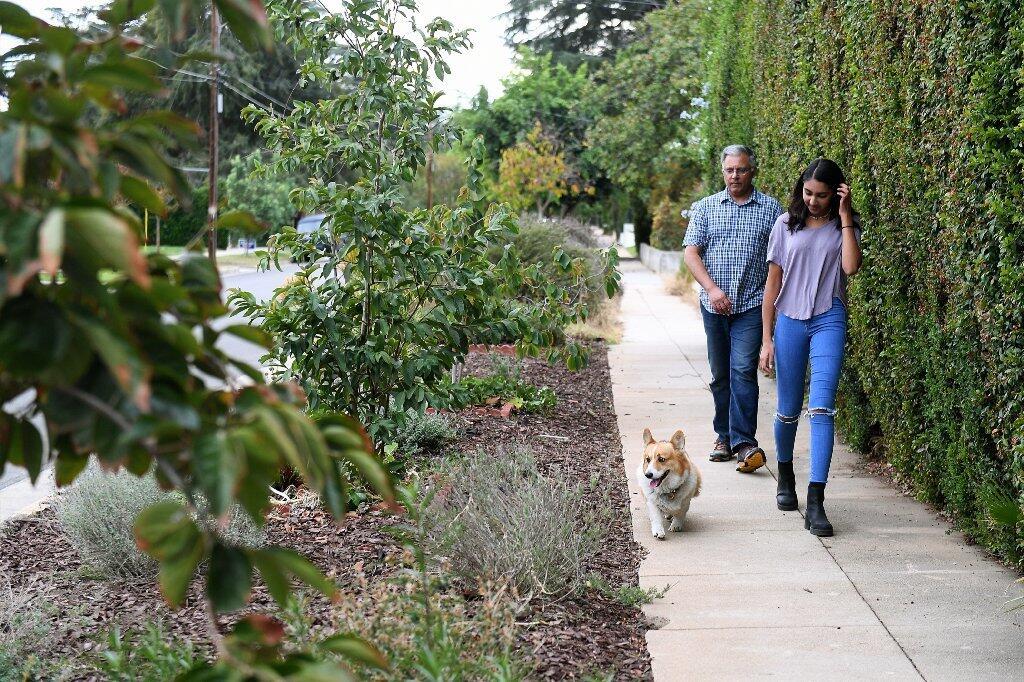 A zero-waste homestead in Altadena