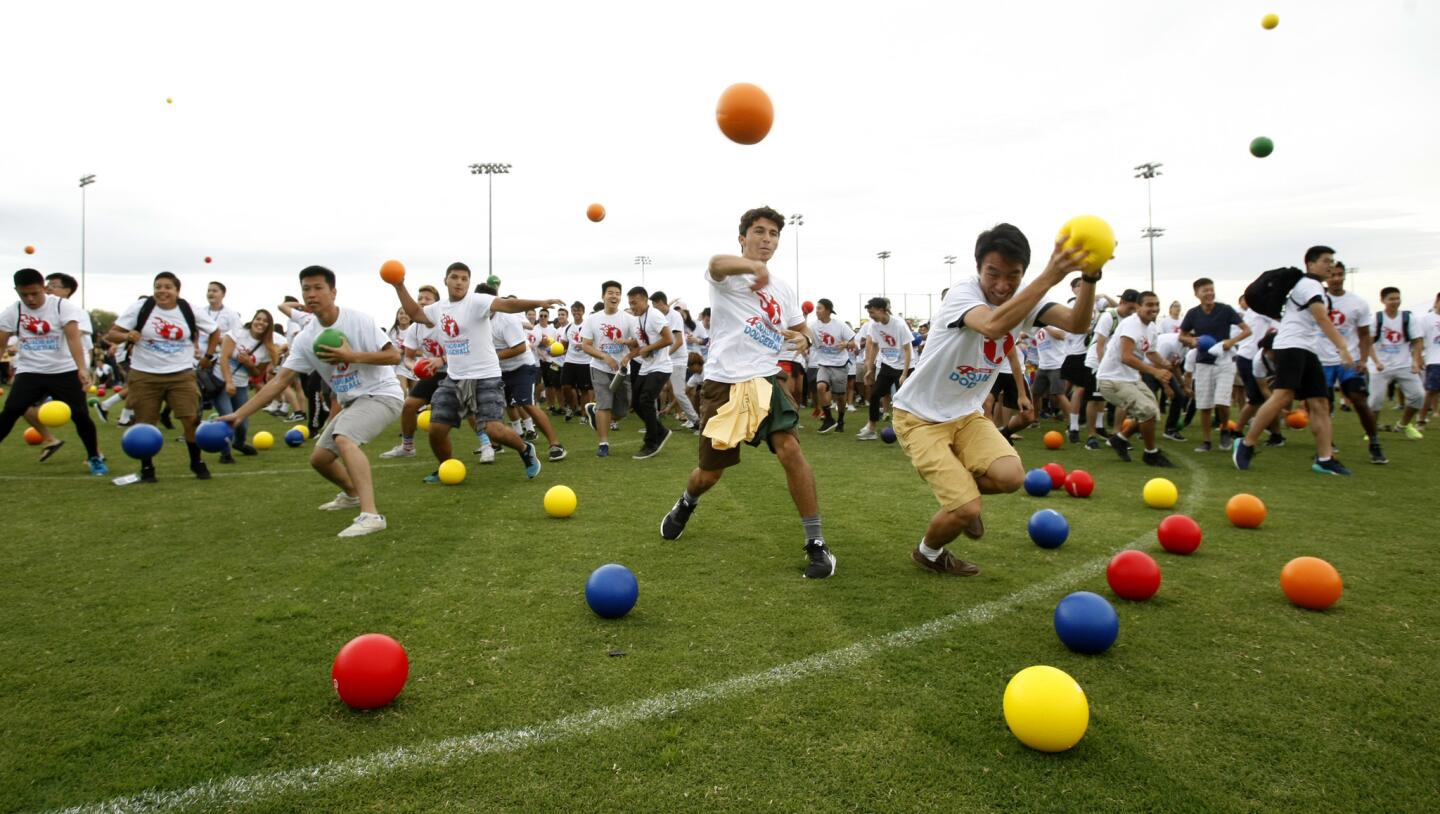 Photo Gallery: University of California Irvine attempts to break four-quadrant dodgeball world record
