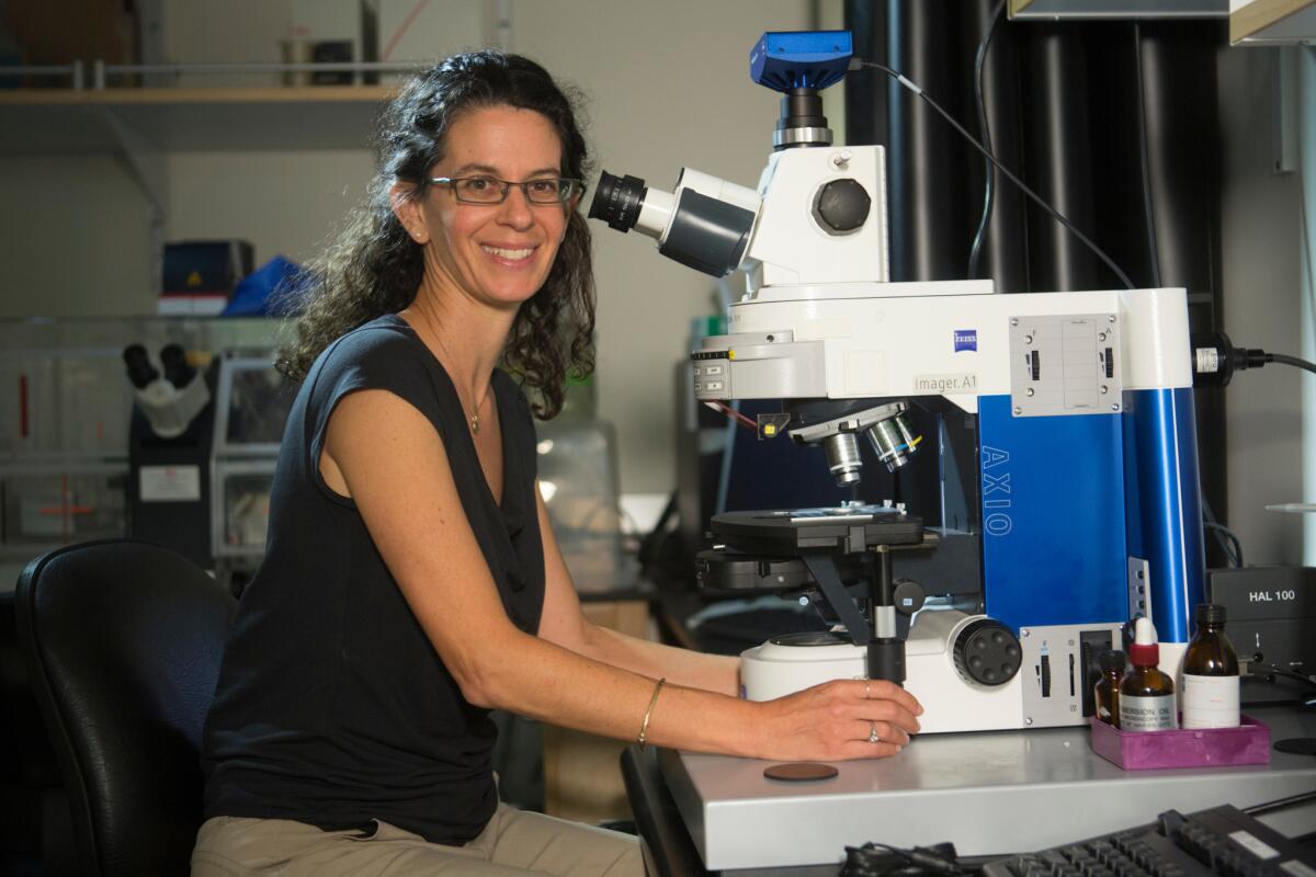 Caltech's Dianne Newman, one of the 2016 MacArthur Fellows