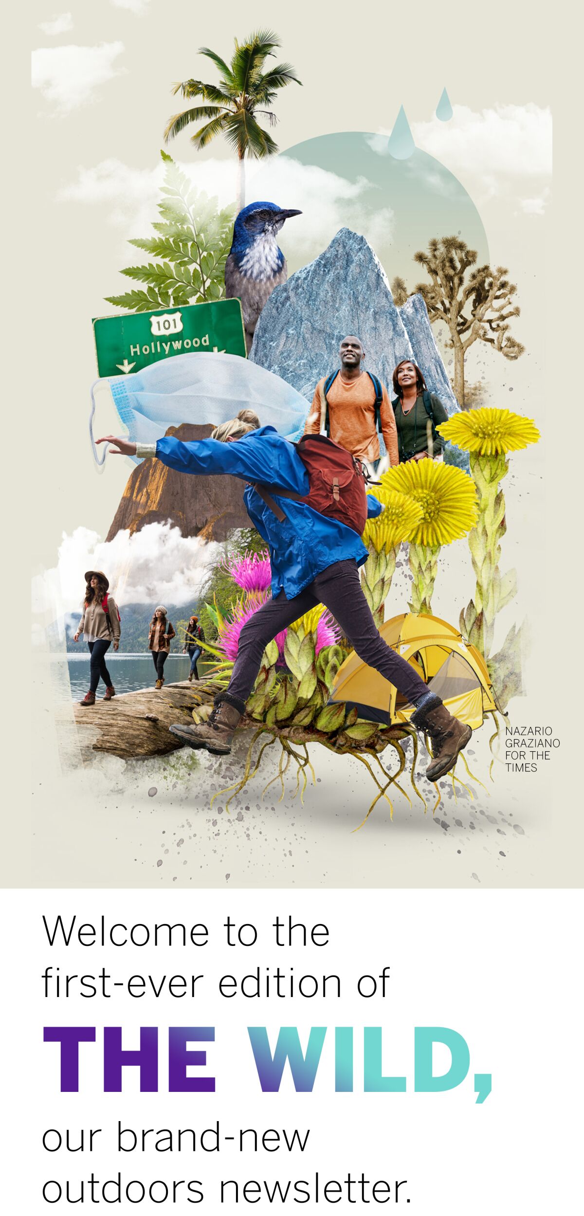 Welcome to the first-ever edition of The Wild, our brand-new outdoors newsletter.